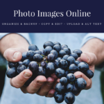 Social Content: How to Handle Photo Images for Publishing Online photo images for publishing online